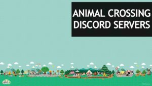 animal crossing discord